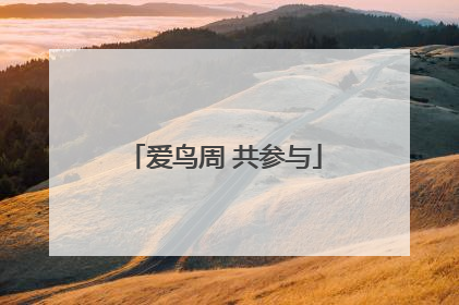 爱鸟周 共参与